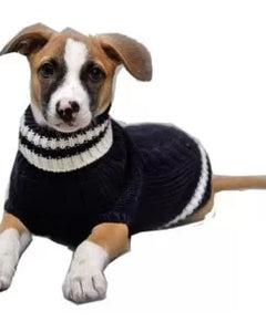 Collection image for: dog sweater